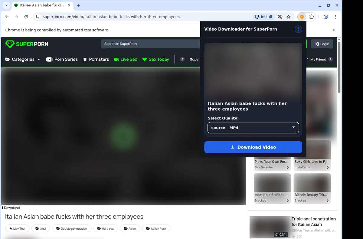 Superporn Video Downloader screenshot 3